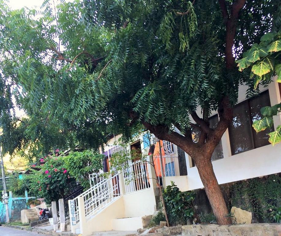 Lorena Surf Hostel San Juan del Sur Exterior foto